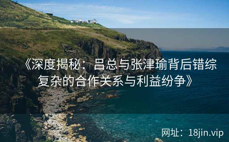 《深度揭秘：吕总与张津瑜背后错综复杂的合作关系与利益纷争》